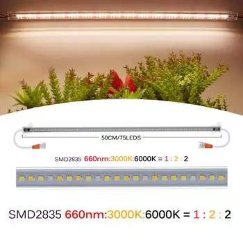 GRAXGROW Фитолампа 75 светодиодов 50 см полный спектр 220В