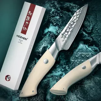 HEZHEN 3,5-дюймовый нож для очистки овощей, 67 слоев дамасской стали, острые инструменты, ножи для очистки, ручка G10, кухонный нож