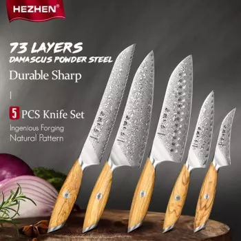 HEZHEN 5 шт Набор ножей 73 слоя Дамасская сталь поварской нож 14Cr1 4MovNb Острый кухонный нож подарочная коробка