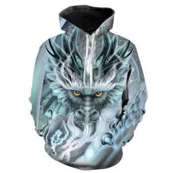 Худи мужское/женское оверсайз с 3d принтом дракона