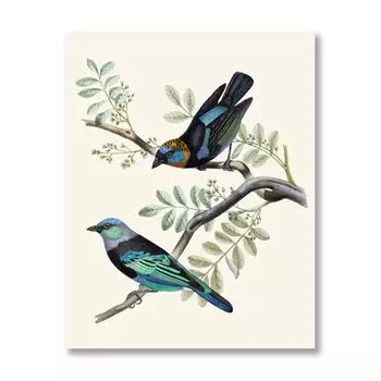 Художественная печать Yoolife Тангары на холсте