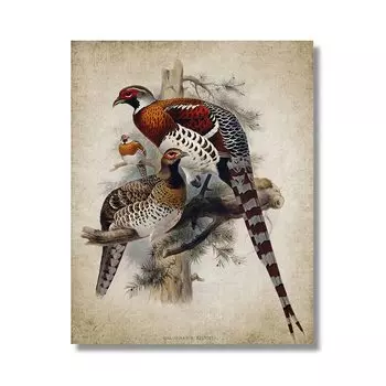 Художественный постер с фазаном dulike