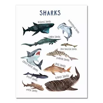 Художественный принт АлиПэинт Морские животные