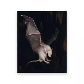 Художественный принт "Безволосая крыса с крыльями" dulike