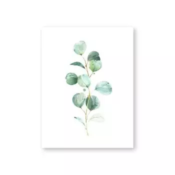 Художественный принт "Эвкалипт" Ilan grace