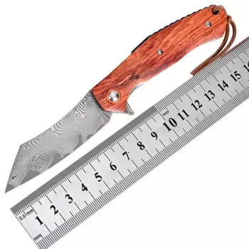 Hwzbben Складной карманный фруктовый нож с лезвием из дамасской стали, ручка Cocobolo, для кемпинга, выживания на открытом воздухе, Охотничий тактический нож, EDC инструмент