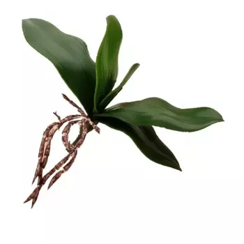 Искусственная орхидея MOONBIFFY