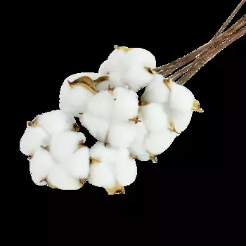 Искусственные белые хлопковые цветы ZQCXLD для свадьбы