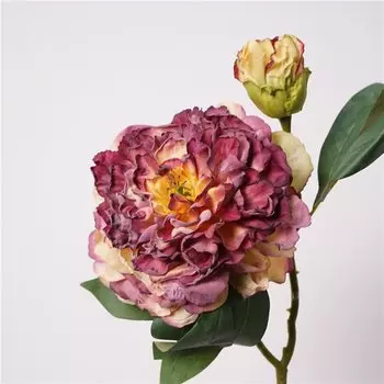 Искусственные белые пионы Green Aloes