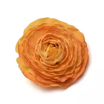 Искусственные белые розы из шелка Nanairo 12 см, 10 шт.