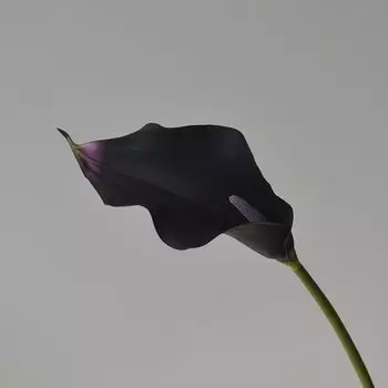 Искусственные цветы каллы Anlincong 5 шт.