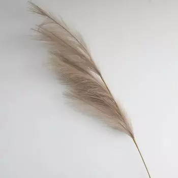 Искусственные цветы пампасная трава LEKSE