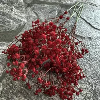 Искусственные цветы шелк Haworthia minima