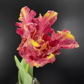 Искусственные цветы SunMade большие тюльпаны синие