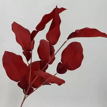 Искусственные листья эвкалипта MOONBIFFY 80 см