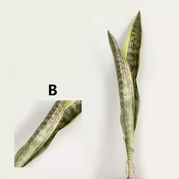 Искусственные листья тигра Сансевиерии