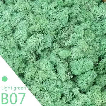 Искусственные растения из мха WNYZQ, зеленый, 20/40 г