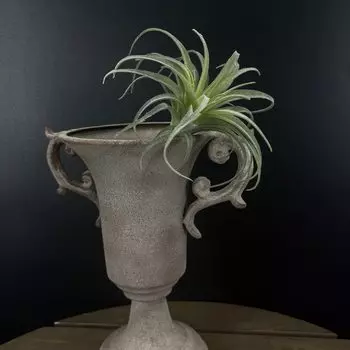 Искусственные растения SunMade INS Air Grass серии