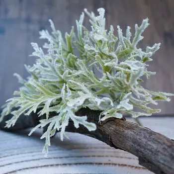 Искусственные растения SunMade Ins Рог лист белый зеленый