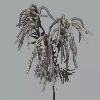 Искусственные растения SunMade ветки водной травы