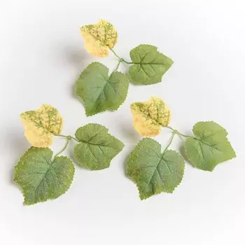 Искусственные шелковые кленовые листья, 50 шт., smr