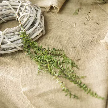 Искусственные суккуленты Kahaul