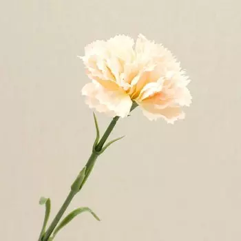 Искусственные увлажняющие гвоздики LINANUO, 5 шт.