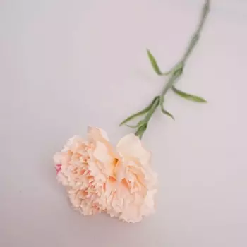 Искусственные увлажняющие латексные гвоздики Anlincong