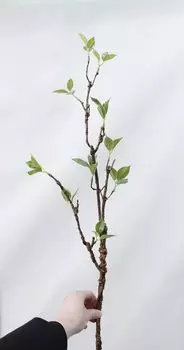 Искусственные ветки дерева amorobe зелёные 78см