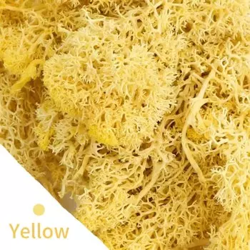 Искусственные зелёные растения Uflower 20/40г