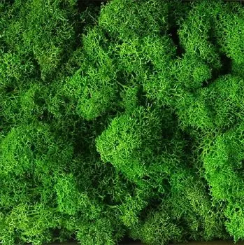 Искусственный мох GSCRAFTS зеленый 20г