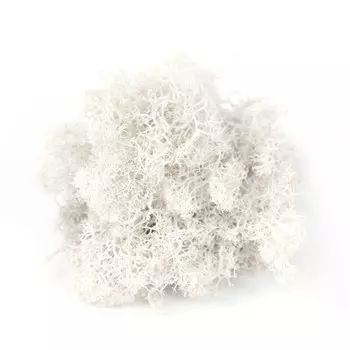 Искусственный мох Xunyihappy