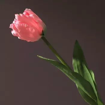 Искусственный шелковый попугай-тюльпан 60 см LaurelChow