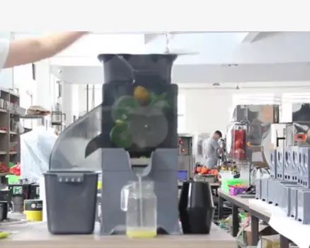 Электрическая автоматическая соковыжималка LUOXIN, для фруктов, цитрусовых, лимона, анимального сока