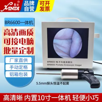 Эндоскоп Shanghai Xindi HD BR6600 ENT, визуальный отоскоп, электронный осмотр изображения, 5,5 мм