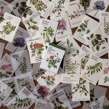 Journamm винтажные растительные карты