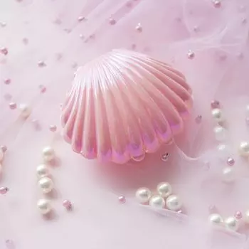 Ювелирный органайзер Y2E2noa пластиковый