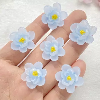 Кабошоны из смолы TSXJY 10 шт.