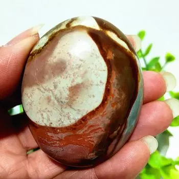 Камень Океанская Пальма EBET для Фэншуй