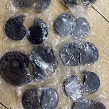 Камень Рейки из раковины аммонита BASILOSAURUS