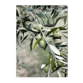 Картина ARDOR "Испанская архитектура"