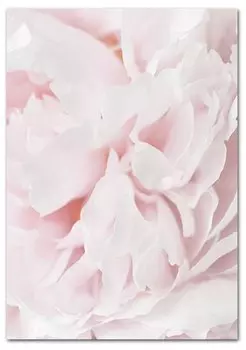 Картина "Цветущий цветок" OYFFL