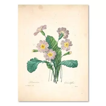 Картина JUBEER «Антикварные цветы»