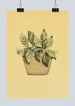 Картина "Минималистичные растения" Lanxihaibao