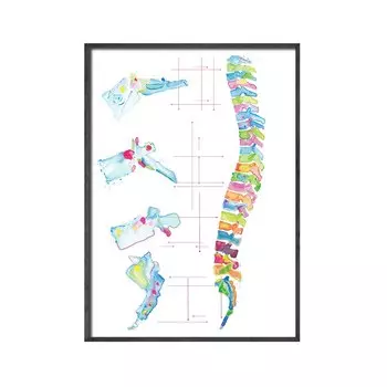 Картина на холсте "Анатомия позвоночника" Angel Wall