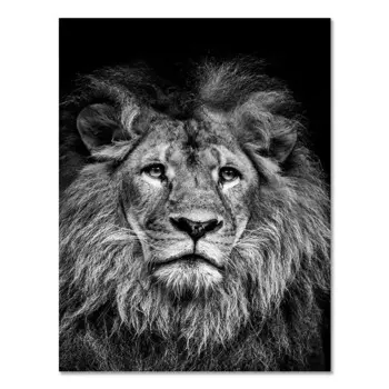 Картина на холсте DHROOM Лев, слон, олень, зебра