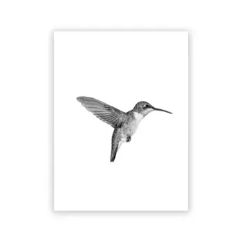 Картина на холсте Ilan grace Колибри