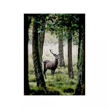 Картина на холсте JIANGGERONGZHAO "Современный природный пейзаж"