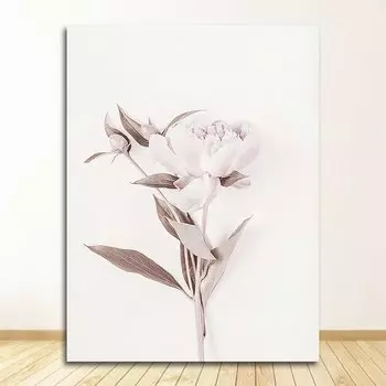 Картина на холсте Protea Rose DHRM