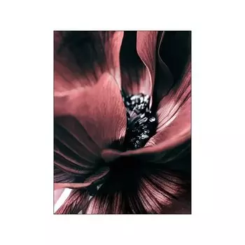 Картины с розовыми цветами OYFFL